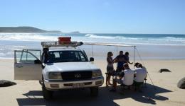 Unique Fraser Picnic Lunch by the sea Unique Fraser 1 Day Fraser Island Tour