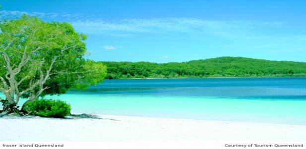 Fraser Island Lake McKenzie