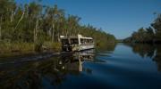 BBQ Cruise on the Noosa Everglades