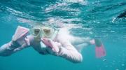 Whitsunday Islands Snorkelling Queensland