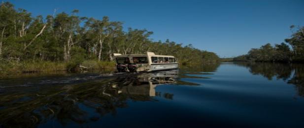 BBQ Cruise on the Noosa Everglades